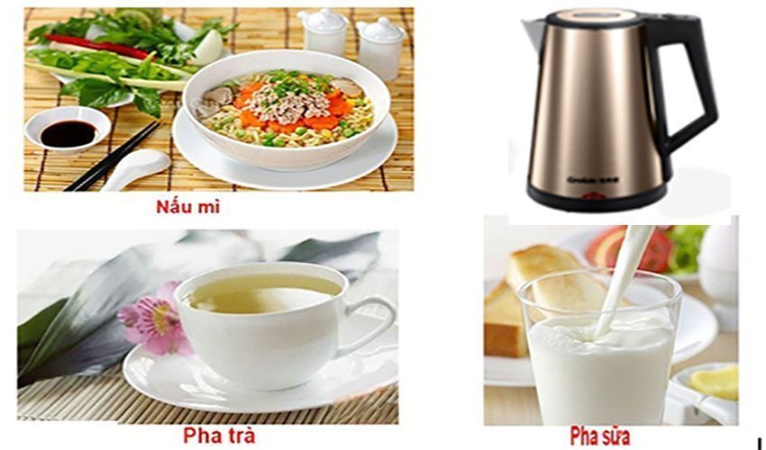 Ấm đun siêu tốc Fujika FJ-ST29 - Hàng chính hãng