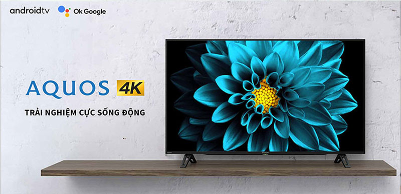 Android tivi Sharp 4K 50 inch 4T-C50DK1X - Hàng chính hãng