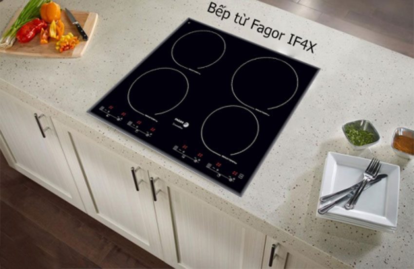 Bếp điện từ Fagor IF-4X - Hàng chính hãng