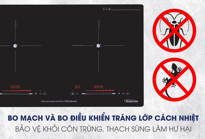 Bếp điện từ đôi Panworld PW-1981 - Hàng chính hãng