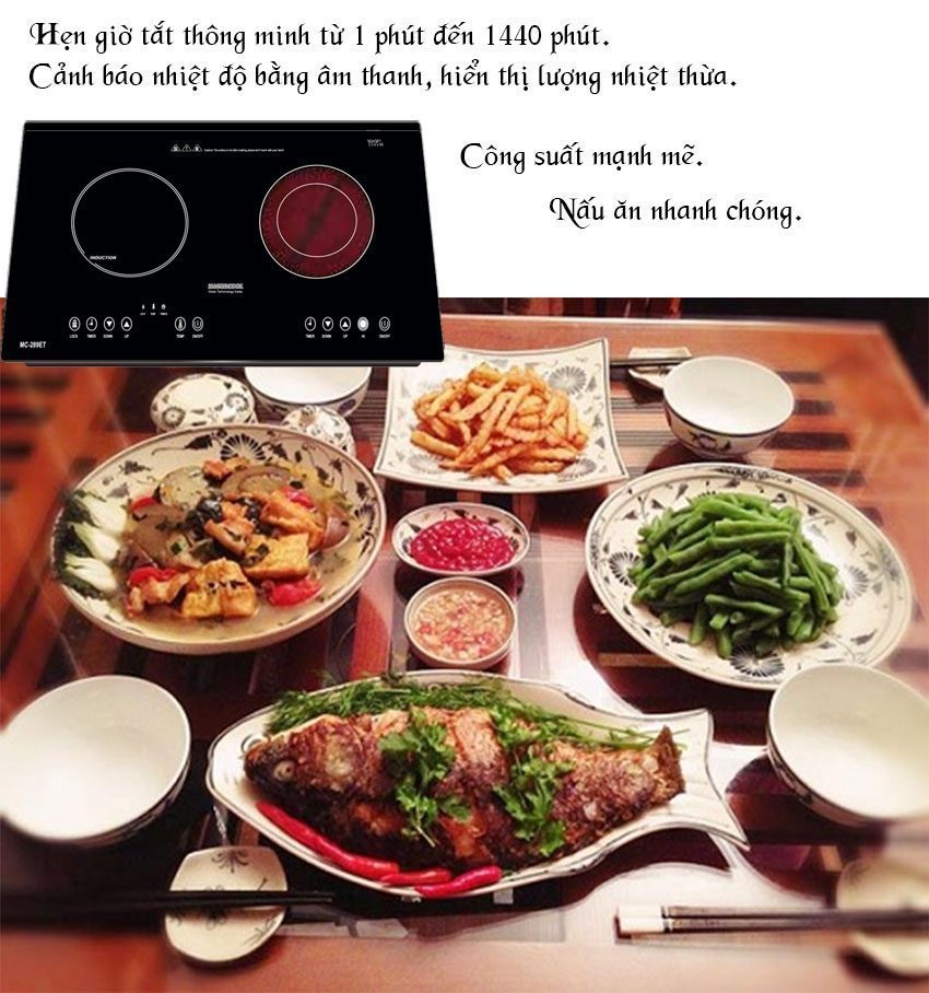 Bếp điện từ hồng ngoại Mastercook MC-289ET - Hàng chính hãng