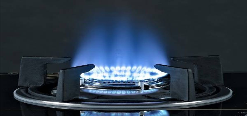 Bếp gas đôi dương kính Kangaroo KG503 - Hàng chính hãng