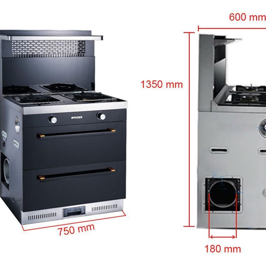 Bếp gas đôi tích hợp hút mùi Baidee F1-1 - Hàng chính hãng