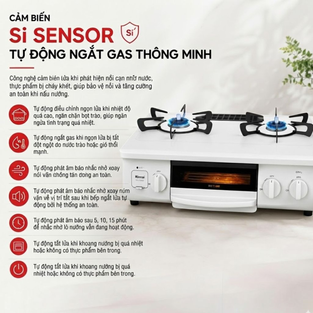 Bếp gas kết hợp lò nướng Rinnai RTC-5912SG-EWS - Hàng chính hãng