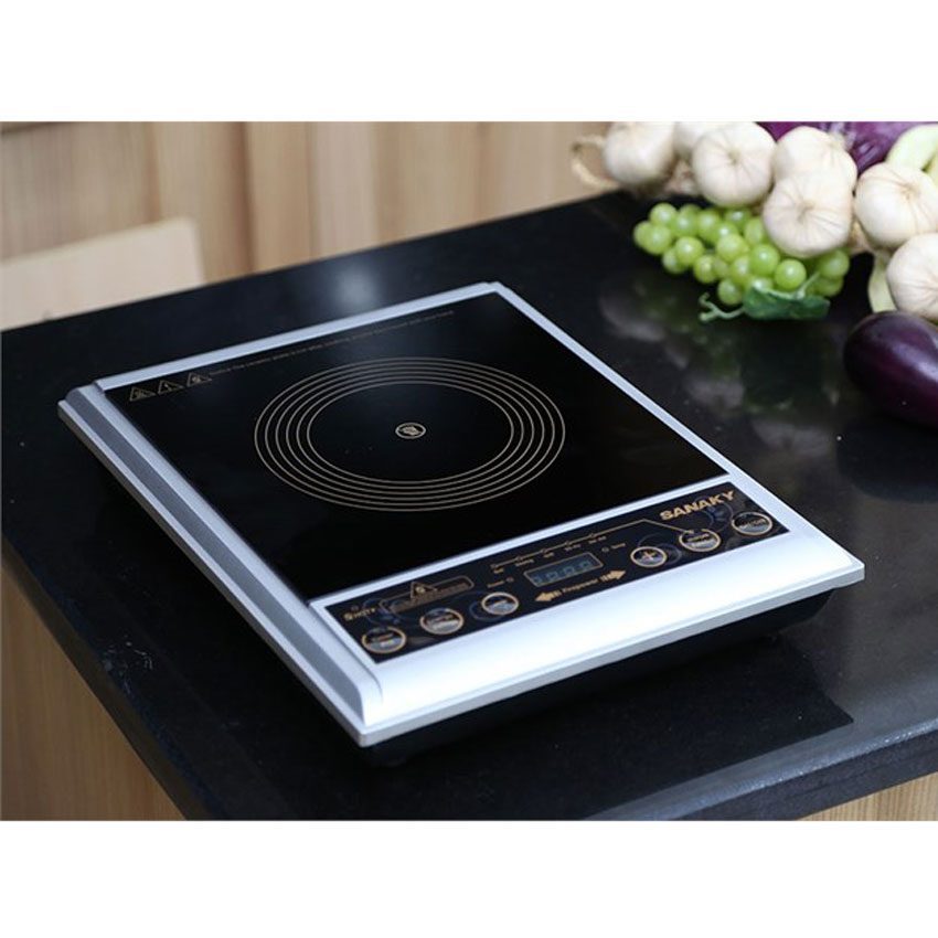 Bếp hồng ngoại Sanaky SNK-102HG-1S - Hàng chính hãng