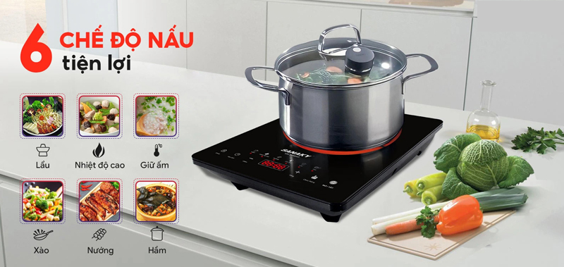 Bếp hồng ngoại đơn Sanaky VH-3100HG - Hàng chính hãng