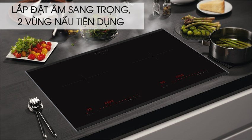 Bếp từ đôi Zemmer IZM 202 A ( Nẹp Alu ) - Hàng chính hãng