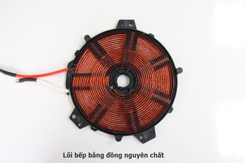 Bếp từ đơn Rapido RI2000LX - Hàng chính hãng