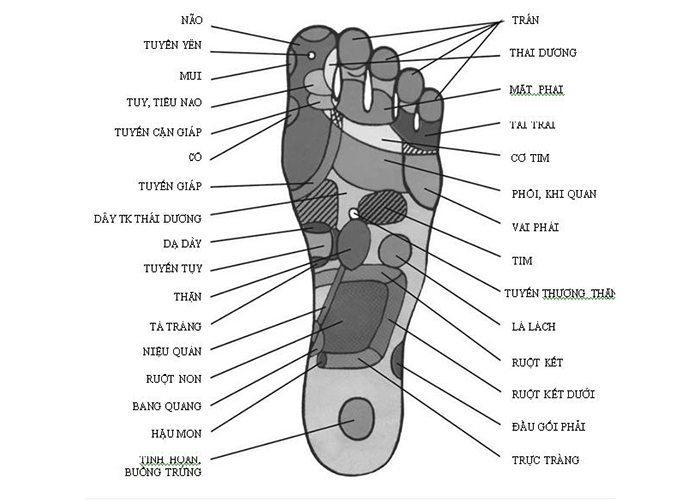Bồn ngâm chân hồng ngoại Beurer FB35 - Hàng chính hãng