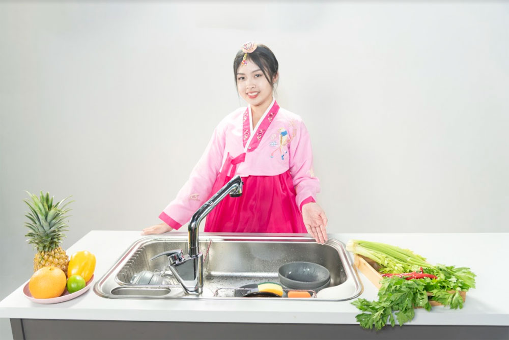 Chậu rửa bát inox Lizens ESCP-840L - Hàng chính hãng