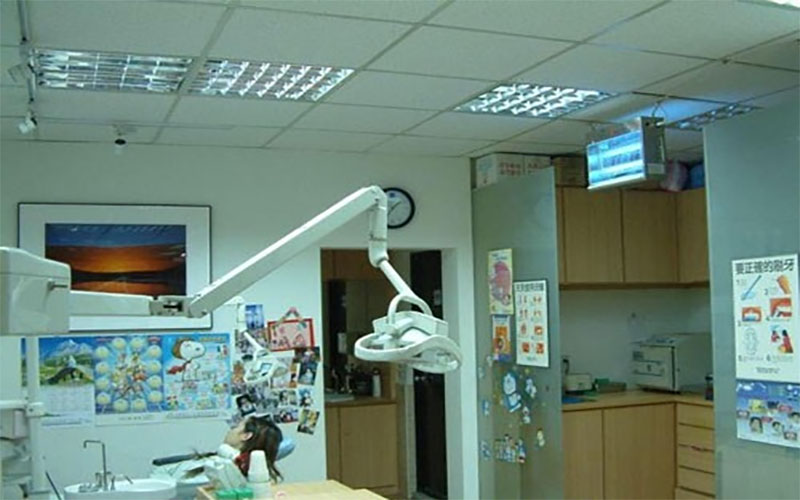 Đèn diệt côn trùng Đại Sinh DS-D152G - Hàng chính hãng