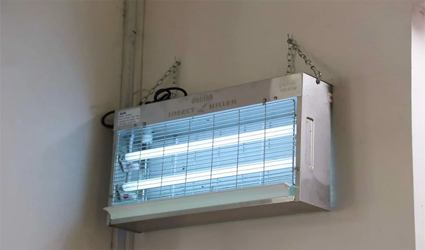 Đèn diệt côn trùng Đại Sinh DS-D202 - Hàng chính hãng