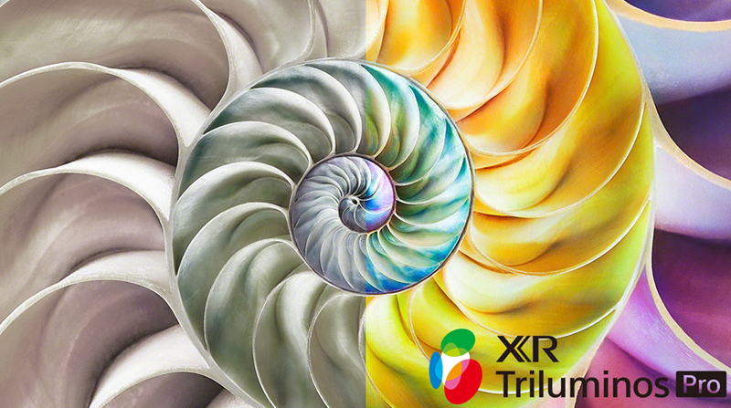 Google Tivi Sony OLED 4K 77 Inch XR-77A80L - Hàng chính hãng