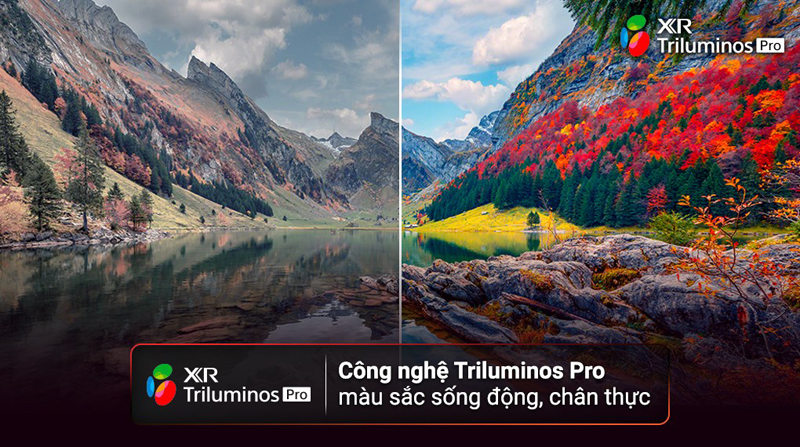 Google Tivi Sony 4K 55 inch KD-55X80L - Hàng chính hãng