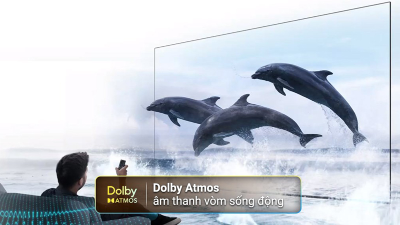 Google tivi TCL 4K 43 inch 43P79B - Hàng chính hãng