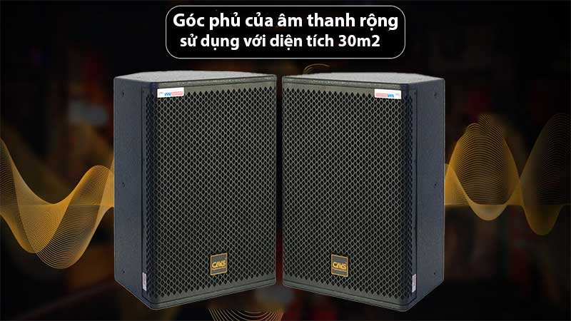 Loa đồng trục CAVS CM12 - Hàng chính hãng