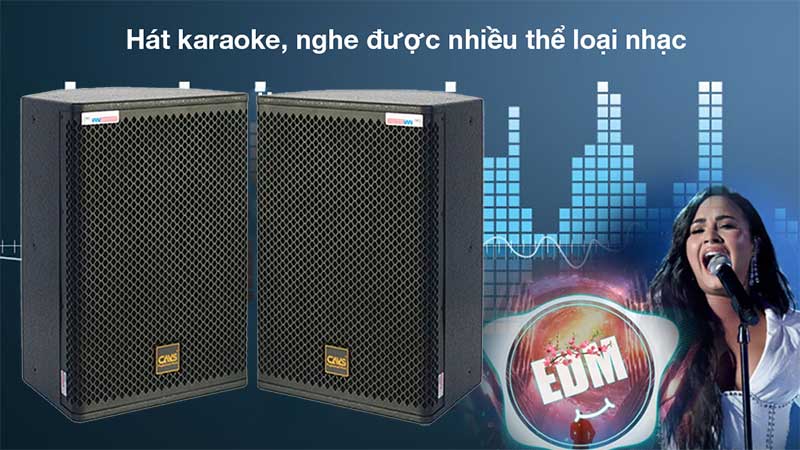 Loa đồng trục CAVS CM12 - Hàng chính hãng