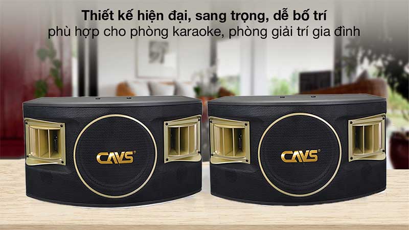 Loa karaoke CAVS 530SE - Hàng chính hãng
