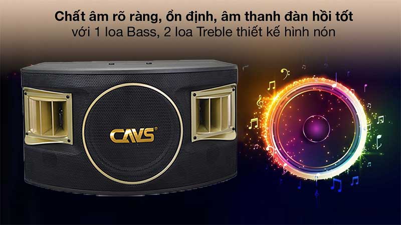 Loa karaoke CAVS 530SE - Hàng chính hãng