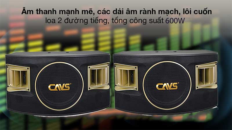 Loa karaoke CAVS 530SE - Hàng chính hãng