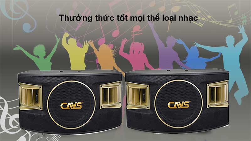 Loa karaoke CAVS 530SE - Hàng chính hãng
