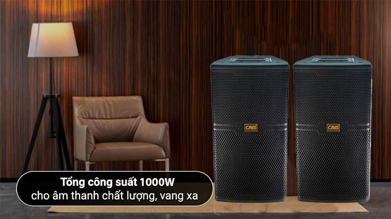 Loa karaoke CAVS CS-301E - Hàng chính hãng