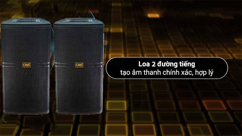 Loa karaoke CAVS CS-301E - Hàng chính hãng