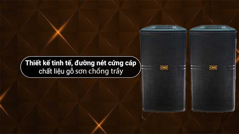 Loa karaoke CAVS CS-301E - Hàng chính hãng