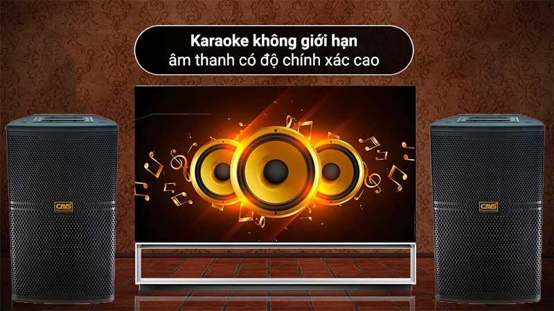 Loa karaoke CAVS CS-301E - Hàng chính hãng