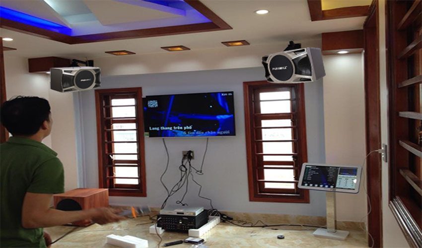 Loa karaoke Paramax D-2000 - Hàng chính hãng