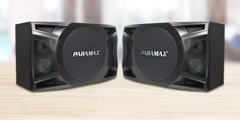Loa karaoke Paramax MK-S1000 - Hàng chính hãng