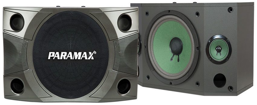 Loa karaoke Paramax P-850 - Hàng chính hãng