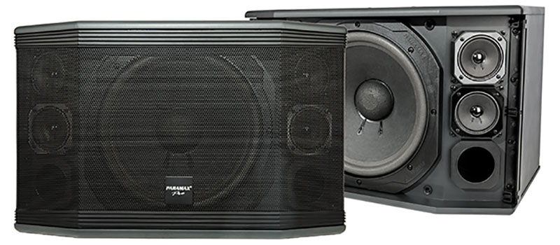 Loa karaoke Paramax PRO-C10 - Hàng chính hãng