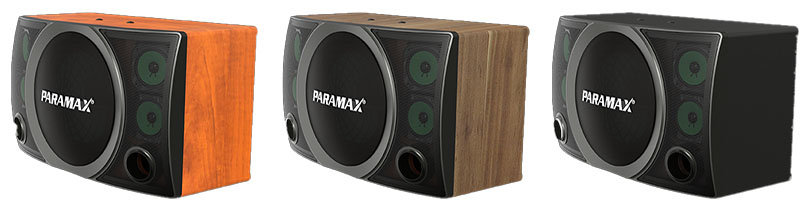 Loa karaoke Paramax SC-2500 - Hàng chính hãng