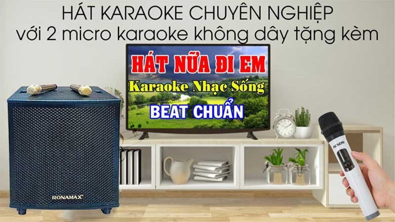 Loa karaoke di động Ronamax M15 - Hàng chính hãng