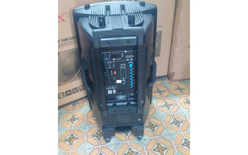 Loa karaoke di động Ronamax T18 - Hàng chính hãng