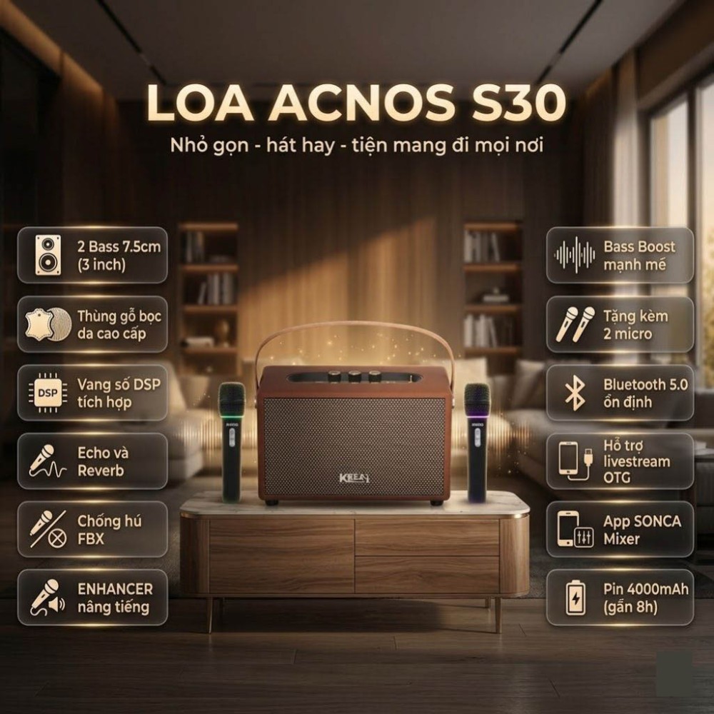 Loa karaoke xách tay Acnos S30 - Hàng chính hãng