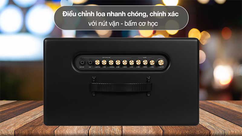 Loa karaoke xách tay Paramax Pasion 2C - Hàng chính hãng