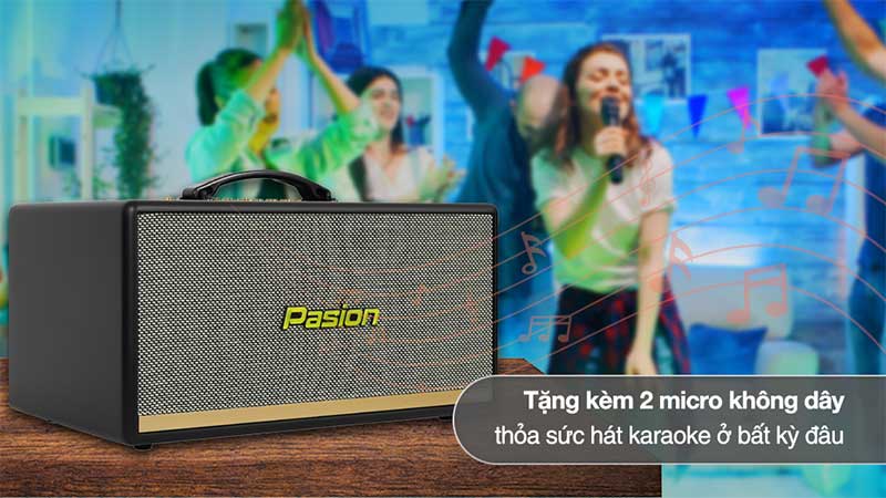 Loa karaoke xách tay Paramax Pasion 2C - Hàng chính hãng