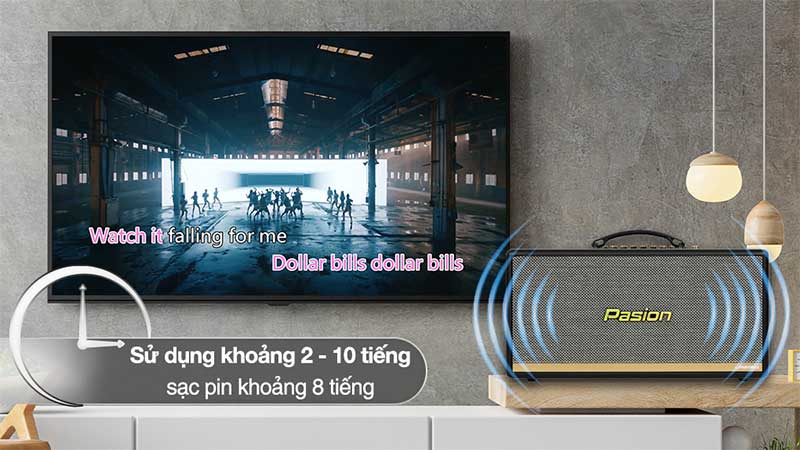 Loa karaoke xách tay Paramax Pasion 2C - Hàng chính hãng