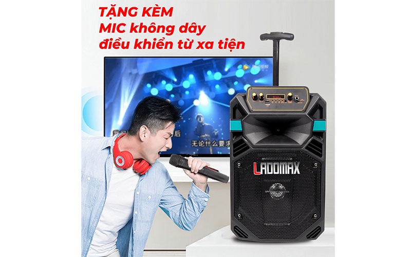 Loa kéo di động Ladomax 805 - Hàng chính hãng