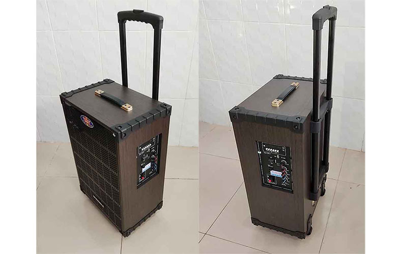 Loa kéo di động Ronamax MR-12 - Hàng chính hãng