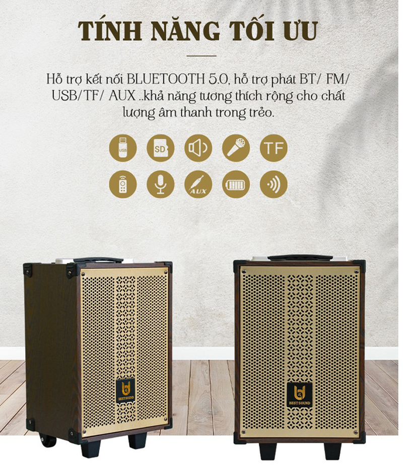 Loa kéo di động BestSound BD-9080 - Hàng chính hãng