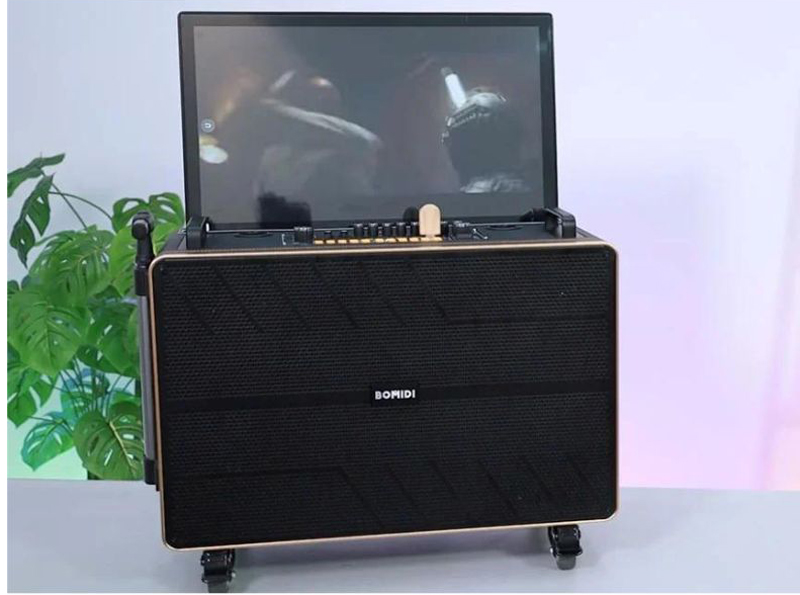 Loa kéo di động Bomidi TS03 - Hàng chính hãng