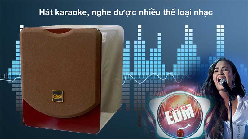 Loa sub CAVS SA815 Bass 40 Active - Hàng chính hãng