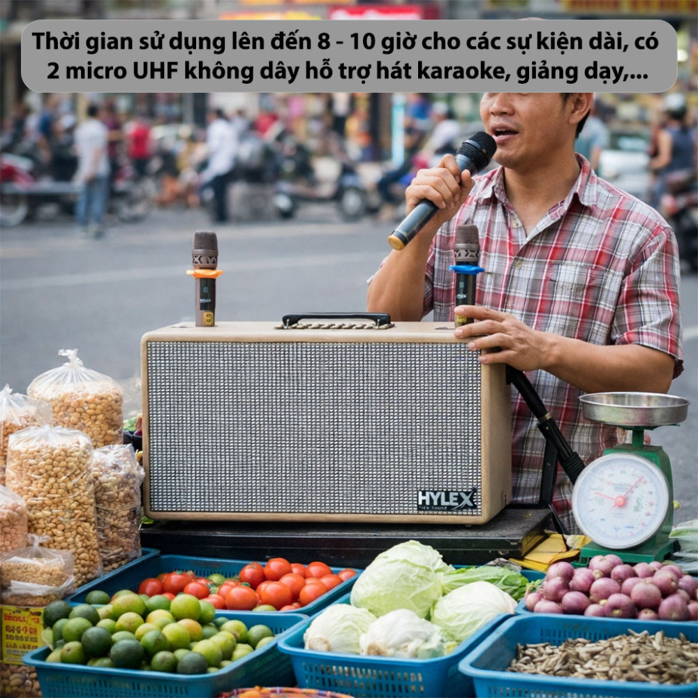 Loa xách tay Hylex PA50MK - Hàng chính hãng