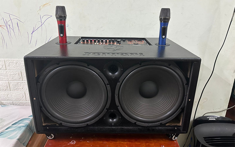 Loa xách tay bass đôi 30cm Karaoke Pro Audio DSP21 - Hàng chính hãng