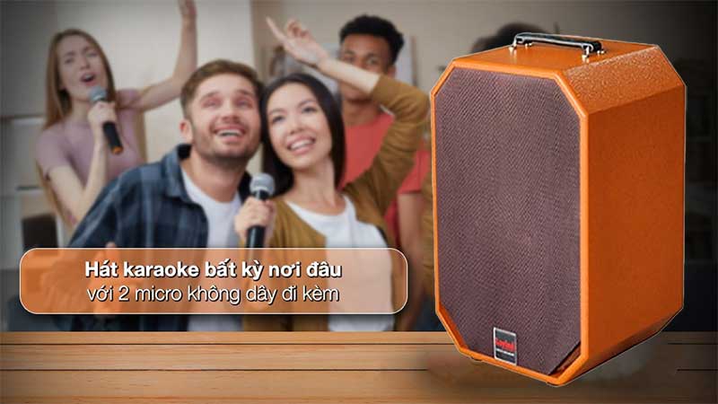 Loa xách tay di động Lovina KB209 - Hàng chính hãng