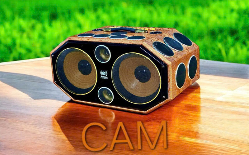 Loa xách tay 25 đường tiếng HQ Audio PARTY25T - Hàng chính hãng
