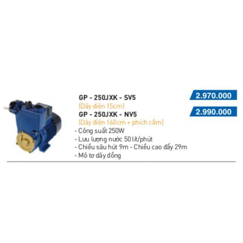 Máy bơm đẩy cao Panasonic GP-250JXK-NV5 - Hàng chính hãng